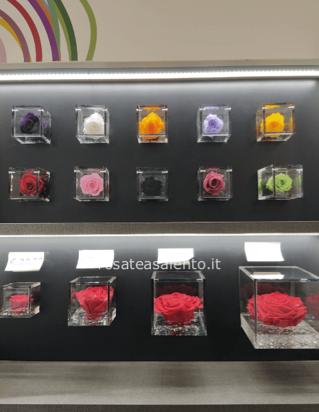 Flowercube piccola 6x6