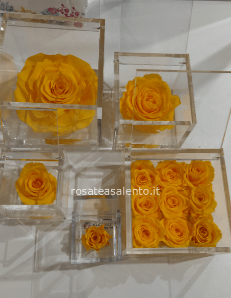 flowercube festa  della donna